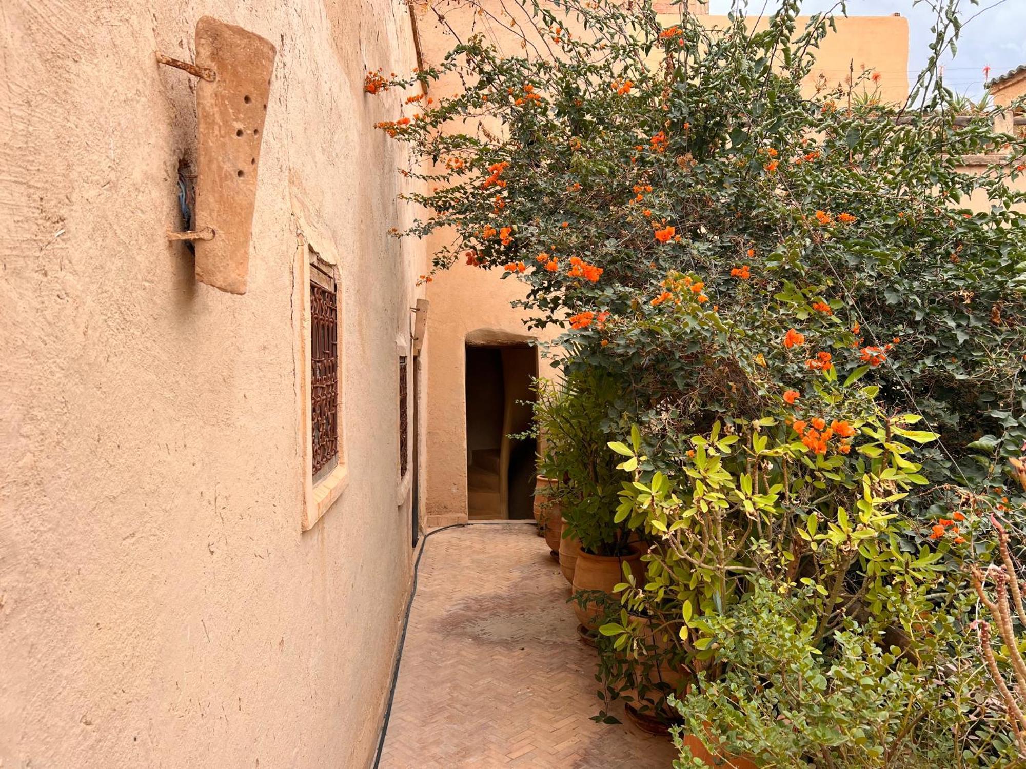 Dar Les Dattiers Taroudant Exterior photo